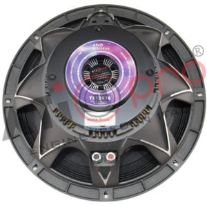 Neodymium DJ Speaker 12 Inch 600 Watt Model YX12N76